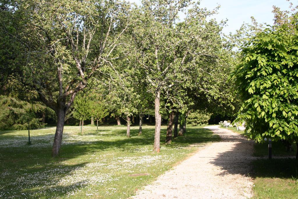 Вилла Les Charlotieres Chailles  Экстерьер фото